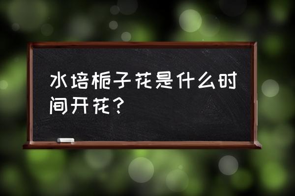 枙子花水培能用生根粉 水培栀子花是什么时间开花？