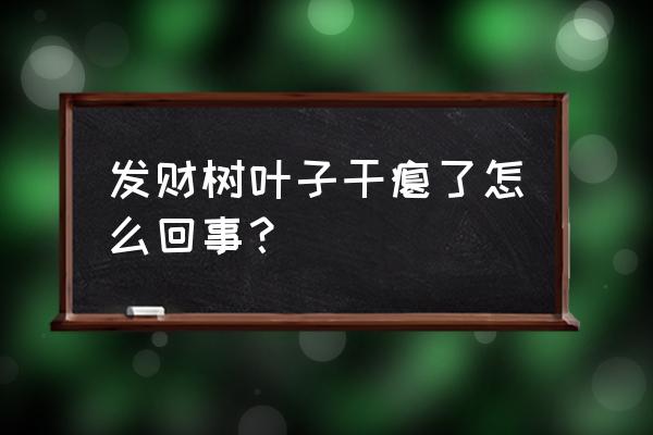 发财树树枝干瘪怎么补救 发财树叶子干瘪了怎么回事？