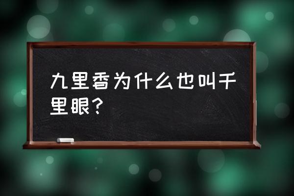 千里香花卉怎么养护 九里香为什么也叫千里眼？