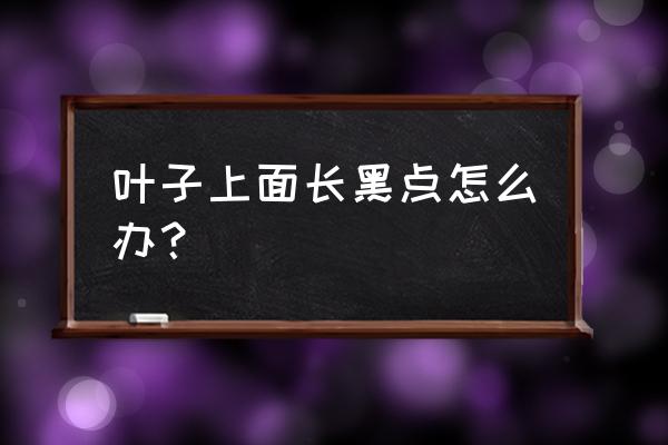 叶子去黑斑最快方法 叶子上面长黑点怎么办？