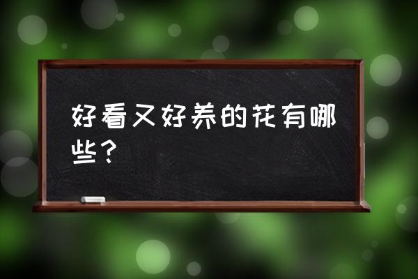 室内摆放花草哪种比较好 好看又好养的花有哪些？