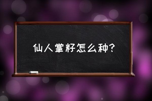 仙人掌种植简单方法 仙人掌籽怎么种？