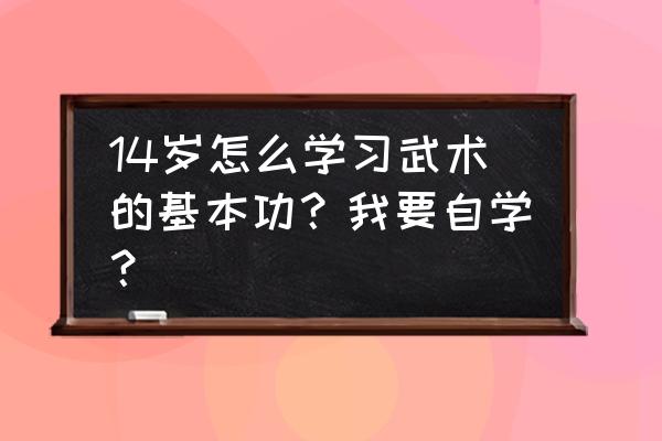 武术入门基本功训练方法 14岁怎么学习武术的基本功？我要自学？