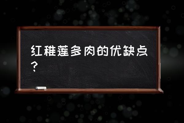 多肉红稚莲的养殖方法和注意事项 红稚莲多肉的优缺点？