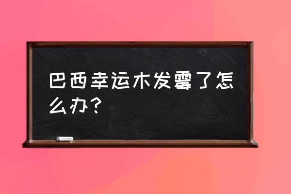 巴西幸运木哪头朝上 巴西幸运木发霉了怎么办？