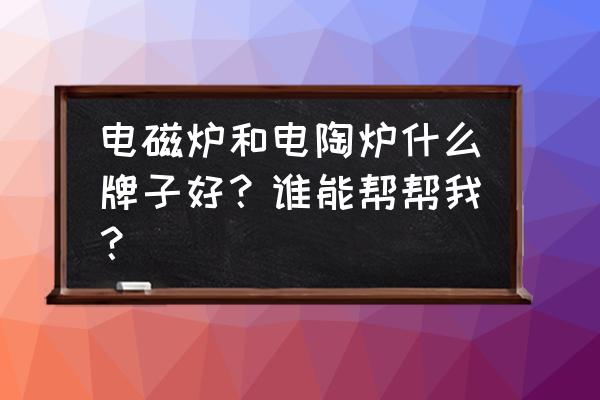 电陶炉与电磁炉哪个好 电磁炉和电陶炉什么牌子好？谁能帮帮我？