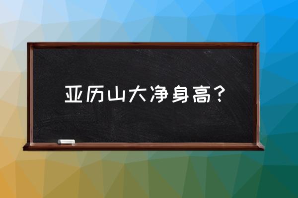 矮个子怎么练突破终结能力 亚历山大净身高？