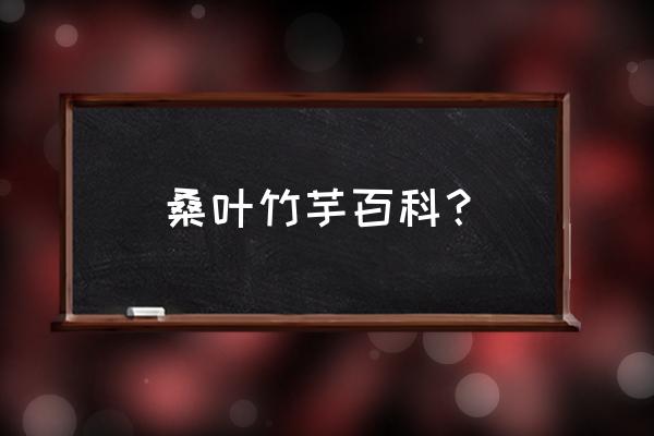 天鹅绒竹芋开花后顶部长出来新叶 桑叶竹芋百科？