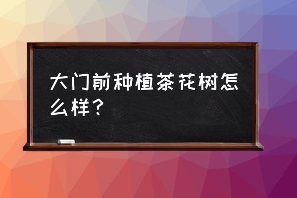 茶花适宜栽种时间 大门前种植茶花树怎么样？